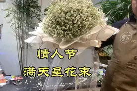 手捧满天星 满眼是星光 心心念念都是你，情人节满天星花束#花艺视频封面