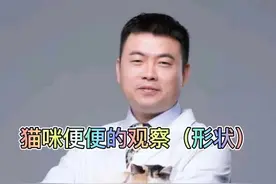 猫咪正常便便应该长条香肠状的