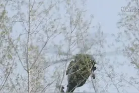 #燃兵器 直-20填补了我军机动运输的空白，多用途直升机随时在战场转换角色。视频封面