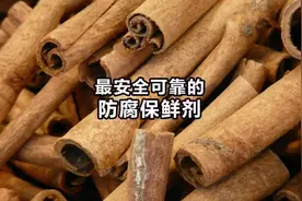 世界上蕞安全可靠的食品防腐保鲜剂：肉桂酸钾。#餐饮创业 #卤菜视频封面