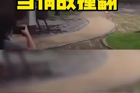 #大象误把雕塑当情敌撞翻视频封面