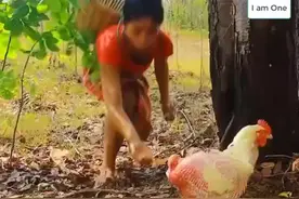 你见过母鸡下黑蛋吗视频封面