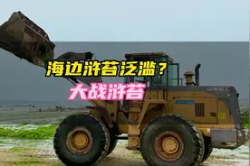 日照海边浒苔泛滥？别怕，这个速度很快就清理没了吧