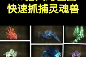 8.3跨位面抓捕灵魂兽攻略#魔兽世界视频封面