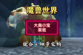 魔兽世界缝合&绷带宠物-大臭小宝&莱班-完结撒花🎉 #猎人