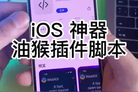 #苹果手机使用小技巧 Safari浏览器最强神器，iOS 也能用油猴脚本工具了！视频封面
