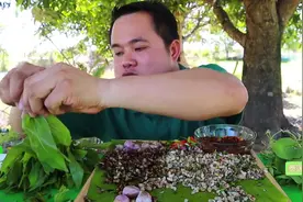 #泰国美食 泰国嗯哼哥凉拌红蚂蚁蛋 酸辣开胃 中文下 合理饮食视频封面