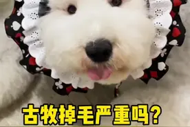 如果说得不对，你就当我放P吧～#古牧#科普