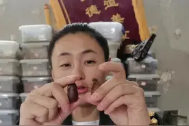 肉蔻表面是光滑的，草果是带个尾巴，肉蔻做的时候可以砸开下锅，草果我都是去子然后在进行卤味