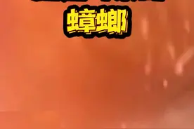 蟑螂会喜欢爬进人的耳朵？你遇到过吗？ #蟑螂 #科普 #卫生