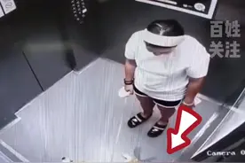 狗狗突然在电梯里尿尿！主人批评狗狗后，一系列操作引大家赞叹👍