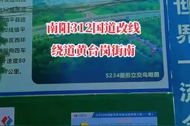 南阳312国道南迁改线，新规划的G312改线段从宛城区汉冢到镇平县曲屯，改线后312国道不再穿过南阳市区，彻底改变交通拥挤、大货车太多的状况。#最新发布#河南南阳 #城市规划 #修路 #便民服务 #大v生活一触即发 #我为家乡代言视频封面