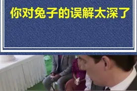你对兔子的误解太深了，很有趣 #动物 #冷知识 