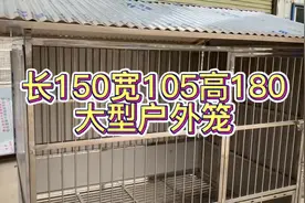 狗狗的户外小窝长150宽105高180大型户外笼#定制笼子 #不锈钢视频封面