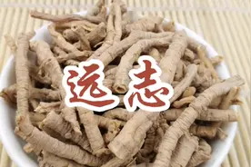 #远志 远志之性味，待考究，交通心肾之功，心属火，肾主水视频封面