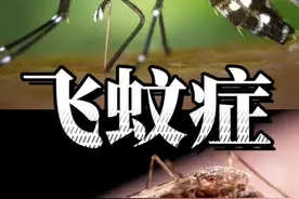 你们眼睛里是不是总有“漂浮物”？别误以为自己能看到细菌啦！飞蚊症了解一下！下次在朋友面前可以装x😃#飞蚊症 #飞蚊症的世界 #飞蚊症是什么 #眼睛看到细菌 #玻璃体混浊 #验光 #配眼镜 #验光配镜 #哪里配眼镜最好 #哪里配眼镜专业 #湖州眼镜店 #湖州配眼镜 #浅仓眼镜 #浅仓眼镜人 #浅仓 #眼镜 #近视眼镜推荐 #明星同款眼镜 #时尚镜框 #网红眼镜 #近视 #高度近视 #近视飞蚊症 #高度近视配镜 #高度近视如何选择镜框 #高度近视配镜指南 #近视眼配眼镜 #高度近视眼 #高度近视眼配眼镜 #杭州去哪配眼镜 #杭州配镜 #杭州眼镜店 #杭州配眼镜 #湖州配眼镜专业视频封面