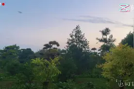 💕#陕西溪谷森林劳动教育实践基地视频封面