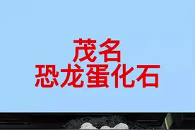 茂名恐龙蛋化石
#茂名 #电白 #高州 #化州 #信宜 #茂南 #科普 #恐龙 #化石 #广东 视频封面