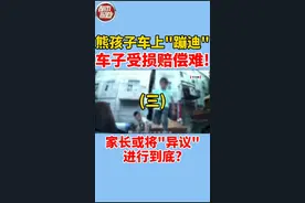 #熊孩子 车上"蹦迪"，车子受损咋赔偿？(三)将"异议"进行到底？#车 #闹心视频封面