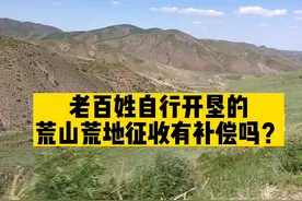 受国家保护！农民开发荒地荒山，被征收后有补偿#农民#土地#开发视频封面
