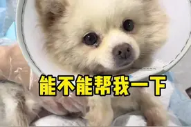 真的很难抉择，有没有大神帮忙科普一下🥹🙏视频封面