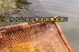 为什么#河沙 里有黄金呢？#机制砂 