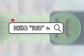 台风"圆规"来袭！！广州动物今天闭园一天！！亚洲象"宝龙"说：视频封面