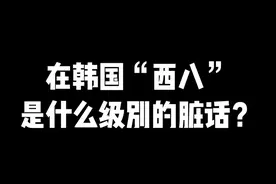 #韩语 #韩语入门 #学韩语 #怼人 在韩国“西八”到底是个什么级别的脏话？进来看看这个视频你就知道啦！