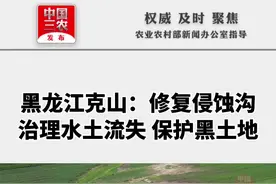 黑龙江克山：修复侵蚀侵蚀沟，治理水土流失，保护黑土地视频封面