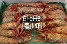 白牡丹虾（富山虾）-传统意义上的牡丹虾？ #海鲜  #美食  #虾