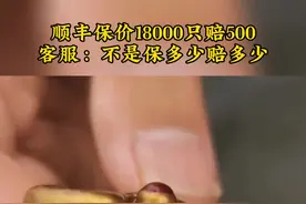顺丰保价18000只赔500，客服：不是保多少赔多少。