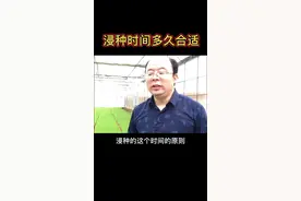 水稻浸种时间长短主要受温度影响，30秒教你把握好浸种时间#种田 #农业 #浸种
