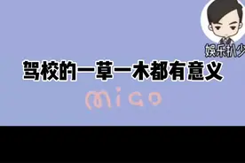 地上每一条似有似无的线都有它的使命