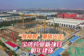 “独角兽”重磅出击 ，宝济药业新项目明年建成！#上海宝山 #工程视频封面
