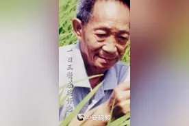 他们手持金黄稻穗，或撒下水稻种子缅怀袁隆平院士#袁隆平 #一日三餐永远怀念 #缅怀袁隆平 视频封面