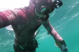 技术潜水🤿水下拍摄 海底世界视频封面