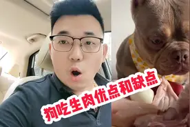 狗吃生肉的优点和缺点，三个月的小狗这么喂健康又强壮视频封面