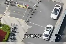 4月6日上海，建筑工人两天没吃饭在小区求助，好心女子送来一袋大米，网友：那一句穷打工的听了好心酸。#正能量 #暖心#感动瞬间视频封面