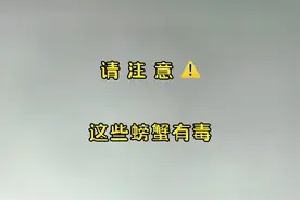 请注意！这些螃蟹有毒，小伙伴们千万不要食用#知识分享