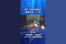 情人节体验滑翔伞，导致一死一伤#滑翔伞 #法律 #滑翔伞事故