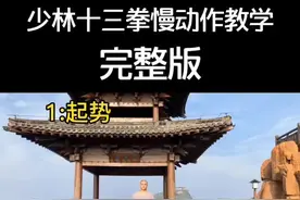 终于可以发长视频了，少林十三拳慢动作教学完整版，喜欢的可以收藏。视频封面