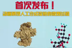 首次发布！动画展现人工合成淀粉的微观过程#中科院中国科普博览 #科普 #淀粉合成