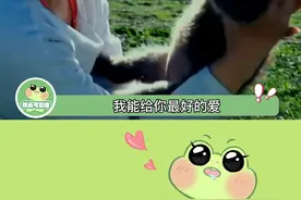 不要怀疑我对你的爱，但放你自由才是对你最好的爱~#娱乐评论大赏 #李微漪 #格林 #狼 
