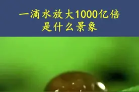 把一滴水放大1000亿倍 #微观世界 #上西瓜看知识 #star @西瓜视频 