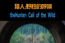 越玩越上瘾的打猎游戏 #猎人 #thehunter视频封面
