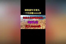农村小伙回收餐馆丢弃的废骨头，把它变废为宝，月入30000多#创业 视频封面