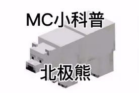 #我的世界 北极熊的介绍