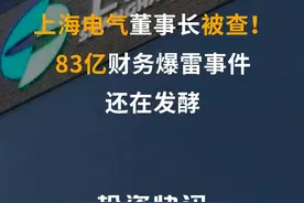 上海电气董事长被查！83亿财务爆雷事件还在发酵#上海电气 #上海电气董事长郑建华涉嫌严重违纪违法 #财务 #暴雷 #公告 视频封面
