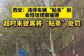 西安：违停车辆“贴条”前会短信提醒催挪，超时未驶离将“贴条”处罚视频封面