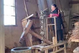金樱子熬糖上集，很多人用金樱子泡酒说是补肾视频封面